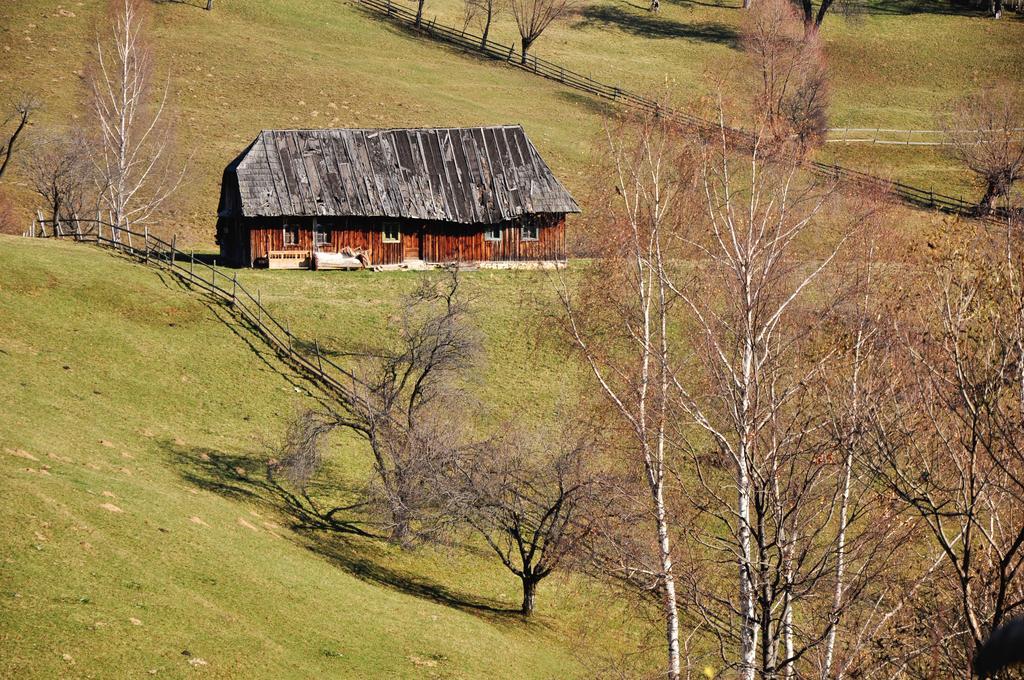 Samedru Hotell Măgura Eksteriør bilde